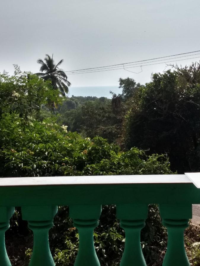 Agonda Green House Luaran gambar